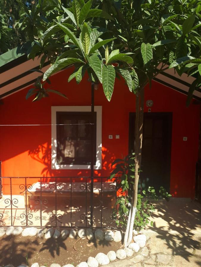 Likya Saklibahce Hotel Kemer  Buitenkant foto
