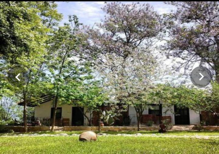 Likya Saklibahce Hotel Kemer  Buitenkant foto